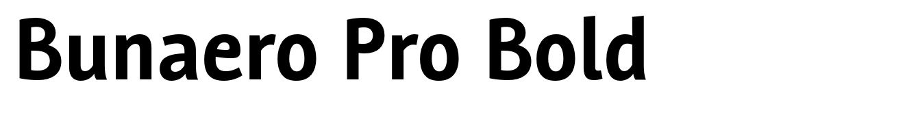 Bunaero Pro Bold